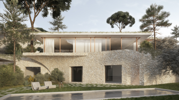 picture of Project Management and Roof Extension 