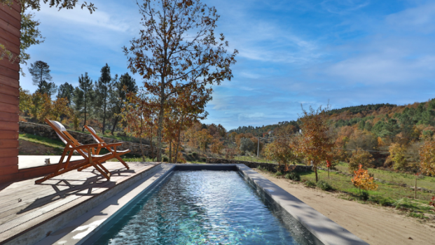 picture of Project Management and Landscape Design 