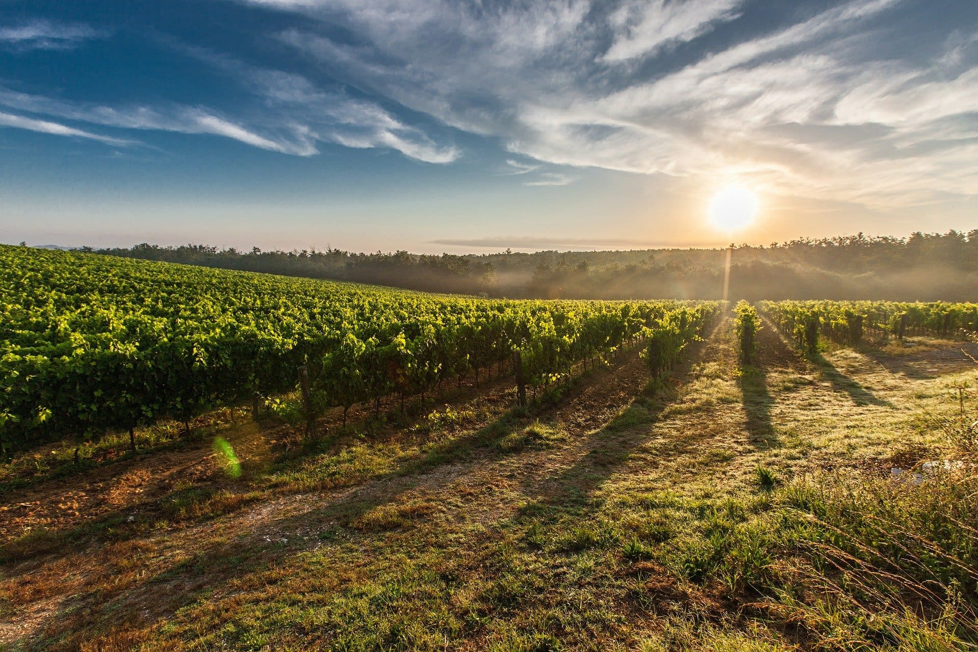 Como transformar uma sala de degustação de vinhos num lugar atrativo?